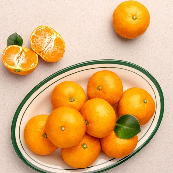 [청년농가]고당도 프리미엄 타이벡 감귤 로얄과 3kg/5kg