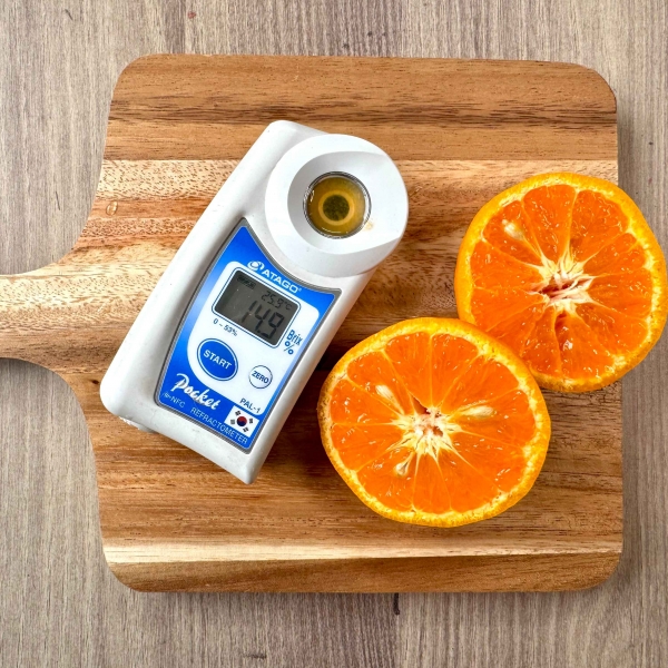 ★주말특가★ 봄 제철 달달 제주 카라향 [2/3/5/10kg] [중소과/중과/대과]