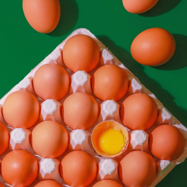 ★단독★ 자연방사 유정란 난각번호 1번 20구 40구 60구