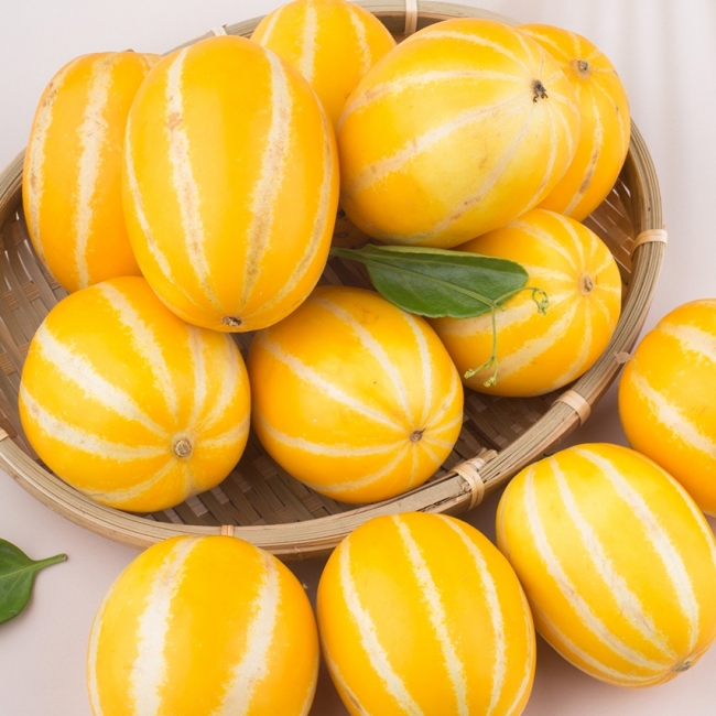 산지직송 성주 가정용 참외 1.5kg/2lg/3kg/5kg