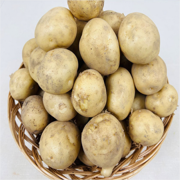 [농부곳간] 햇 수미 감자 2kg/3kg/5kg