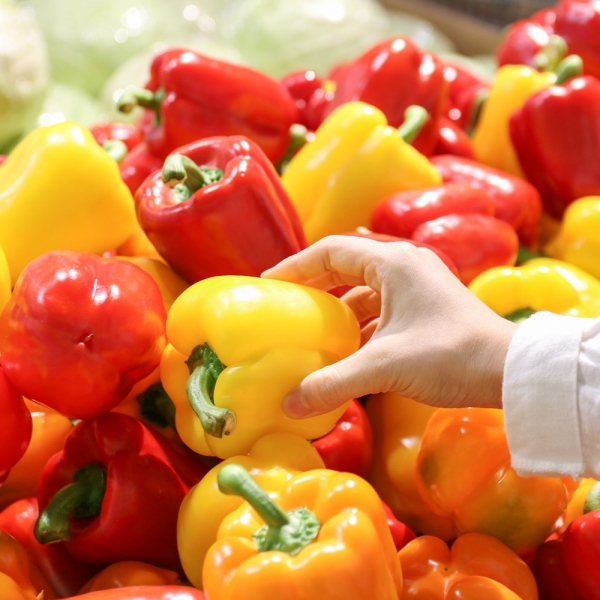 산지직배송 못난이 파프리카 노랑/빨강 1kg