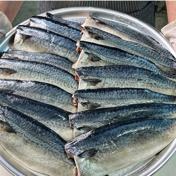 [산앤들R]순살 안동 간고등어100g/120g/140gx 10팩