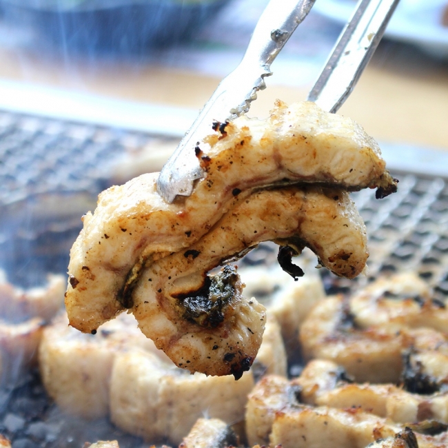 [청년농가]고창 토종 자포니카 풍천장어 450g~750g (양념2종+초생강 증정)