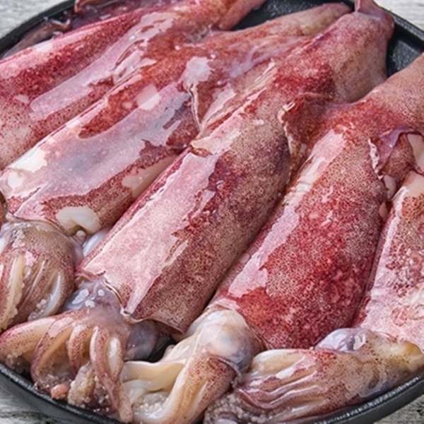 [산앤들]부드러운 총알 한치 500g