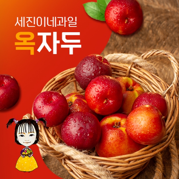 [착한가격]세진이네과일 후무사/후무사2/대왕자두/도담 자두 등