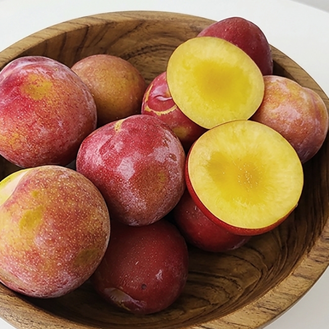 농부마음 왕자두/추희자두 (1kg/2kg/4kg)