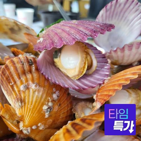 ★타임세일★ *시즌상품* 산지직송 제철 남해안 가리비2kg (50개내외)