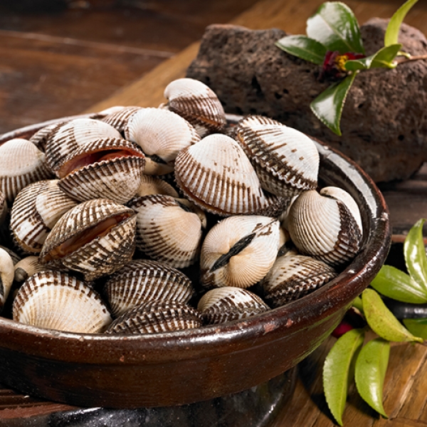 어촌직송 새꼬막 1kg 소/중/상/대