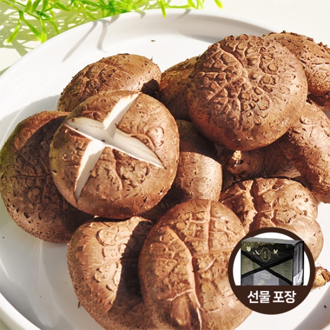 [푸른농원]생표고버섯 화고/선물세트 (2kg/4kg)