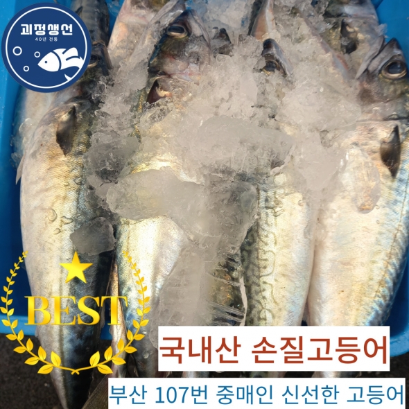  *시즌상품* 국내산 손질 고등어(800g내외/1kg600g내외)