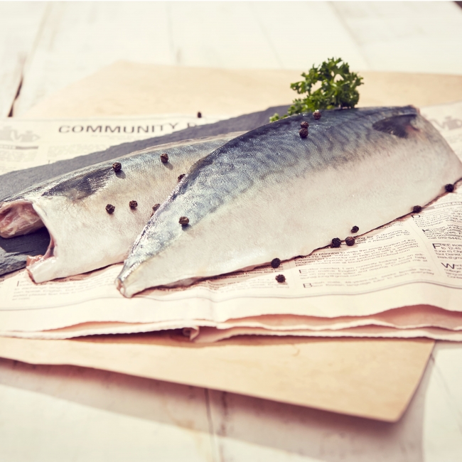 청정제주 고등어 160g/190g/200g/500g이상