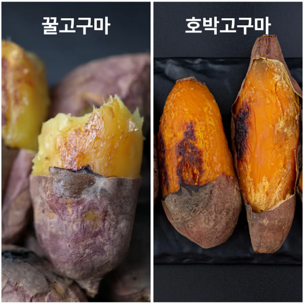 ★신선위크★ [2025 햇고구마] 해남 황토 호박고구마/꿀고구마 선택 구이용 중,특상/요리용 대 3kg 5kg 10kg