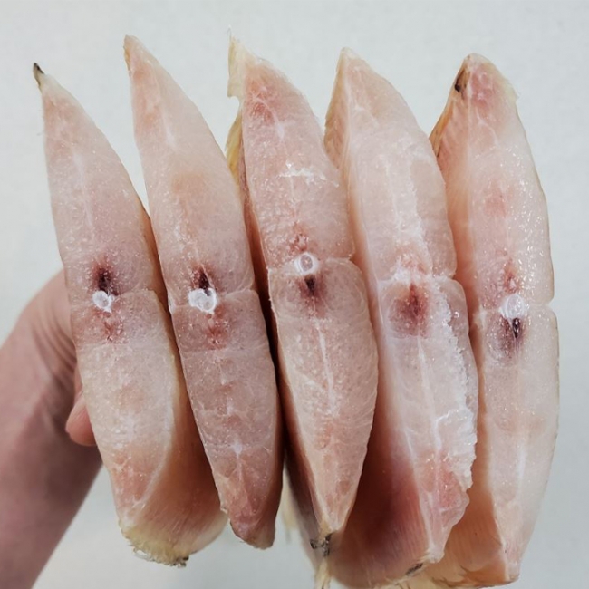 바다맛집 반건조 박대 특대 사이즈 10미(골드 트레이)