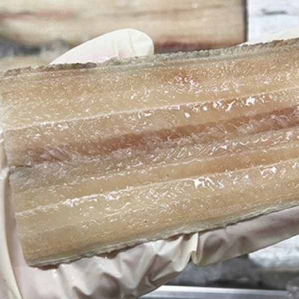 [청년농가]여수조업 고소한 순살갈치 600g (150g x 4팩)