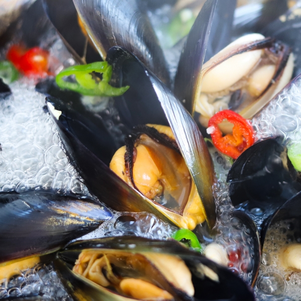 ★주말특가★[아침애딴] 당일 조업 산지직송 통영 다듬이 홍합 1kg 3kg