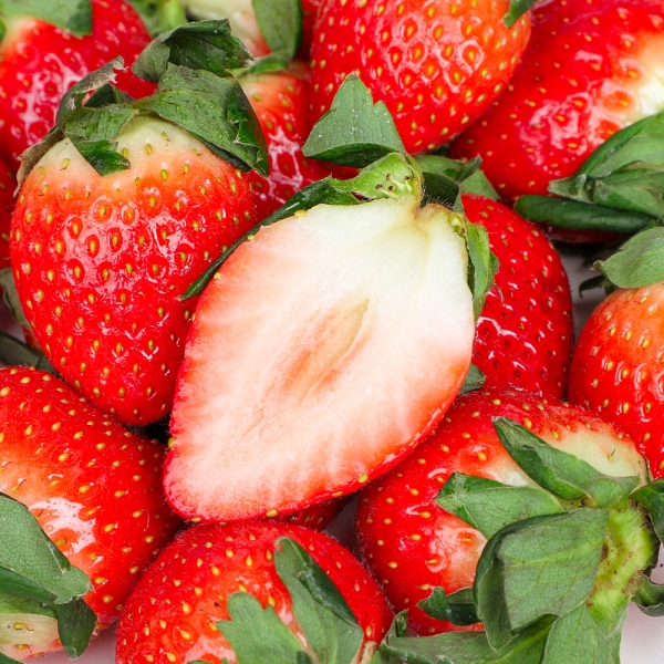 [아침애딴] 논산 설향 딸기 350g 700g 중사이즈 상품 특품 출고 일정 확인 필수