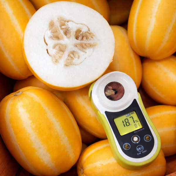 ★신선위크★ [숙희장터] 성주참외 고당도 정품 로얄과 2/3/5kg