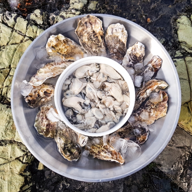 산지직배송 국내산 통영 생굴 1kg