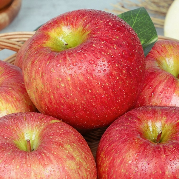 [청년농가]경북 고당도 부사사과 가정용 A급 1kg/2kg/3kg/5kg