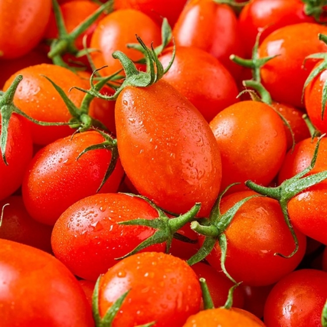 [청년농가]새콤달콤 대추방울토마토 로얄과 2kg