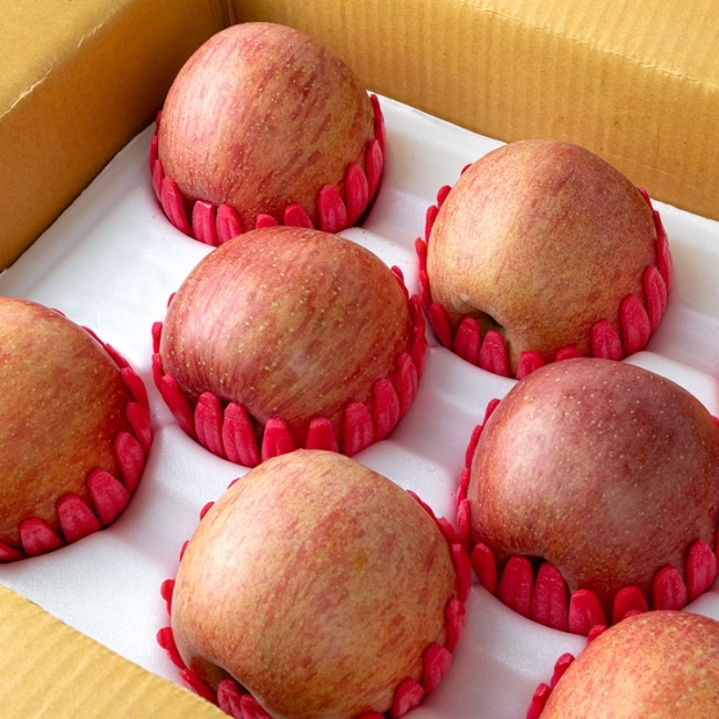 [청년농가]안동 명품사과 특상품 선물세트 3kg/4kg/5kg