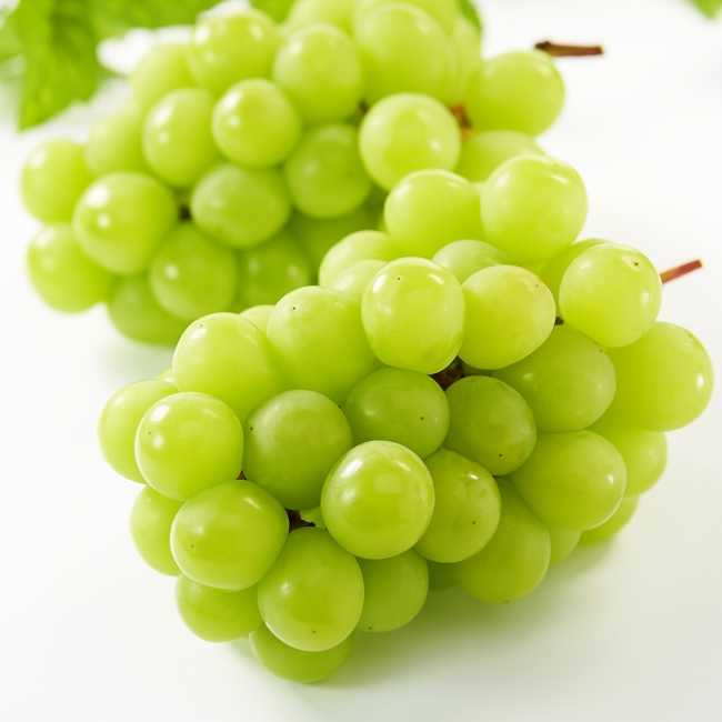 농부마음 샤인머스켓 1kg/2kg