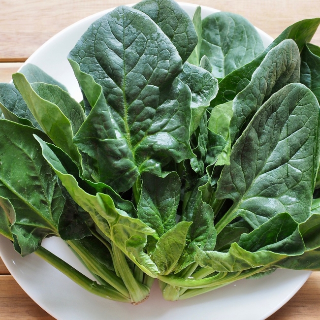 [청년농가]남해 보물초 시금치 300g/500g/1kg