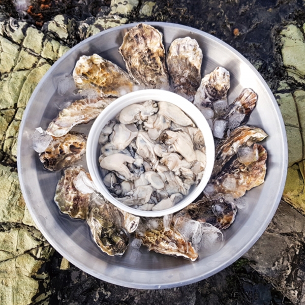 산지직배송 국내산 통영 생굴 1kg