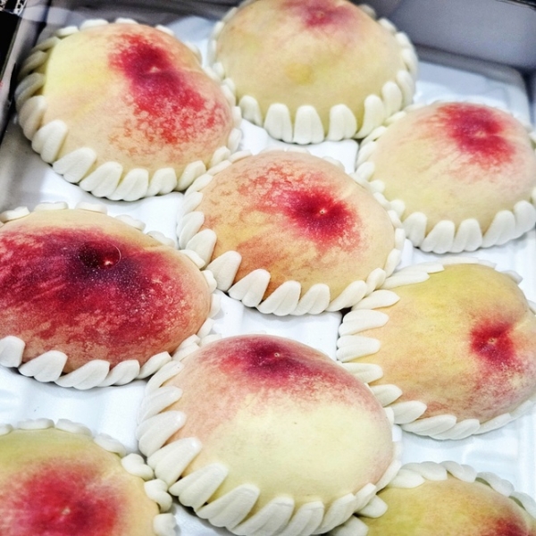 (농할) [장위시장] 고향에서 가져온 황도/백도 복숭아