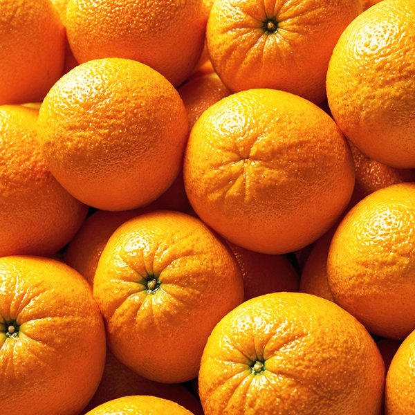 ★신선위크★ 당도선별 고당도 오렌지