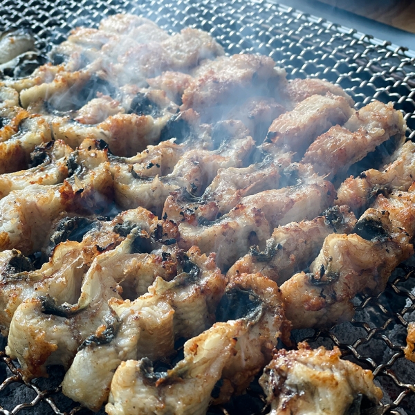 [당일손질&출고] 고창 풍천 장어 +소스2종+초생강