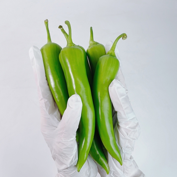 ★신선위크★ 국내산 혈당관리 당조절 당조고추 500g 1kg 2kg 3kg 5kg