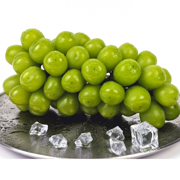 망고향 고당도샤인머스켓 1kg/2kg/4kg 안전포장