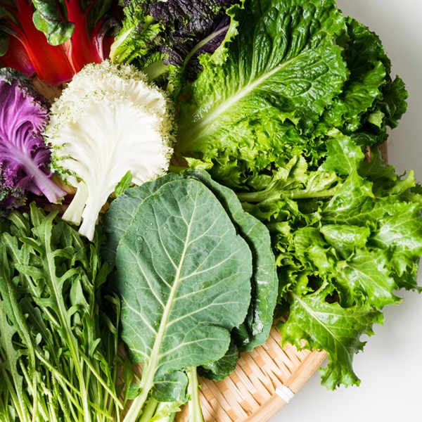 ★신선위크★ [당일수확] 국내산 샐러드 쌈채소 600g /1kg