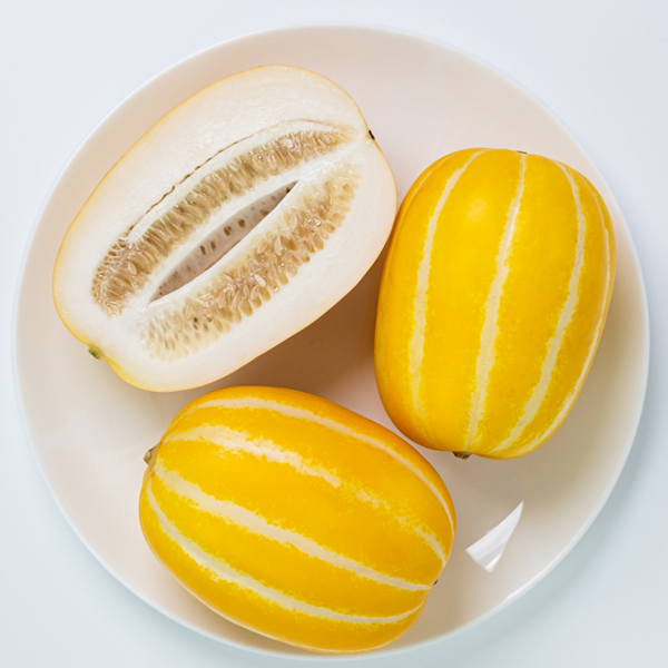 ★신선위크★ 당도측정 고당도 참외