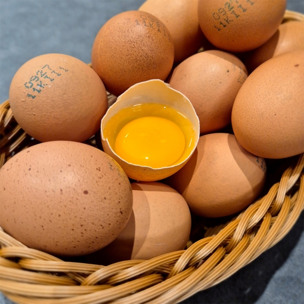 ★타임세일★ [난각번호 1번] 자연방사 무항생제 계란 유정란 20구