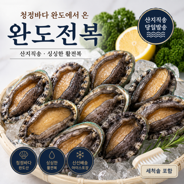 ★리뷰이벤트★완도 활전복 1kg / 2kg / 4kg 산지직송