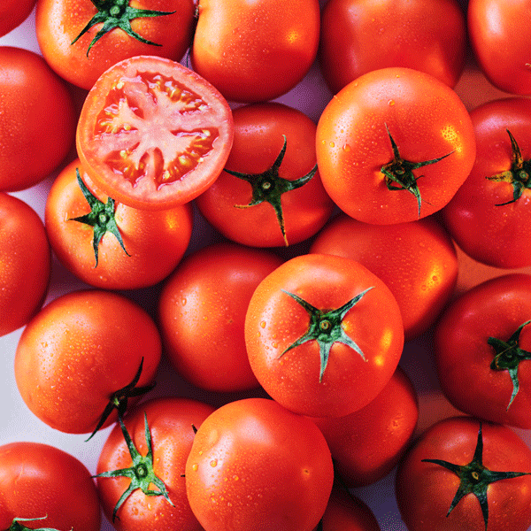 ★주말특가★ 더 건강한 완숙 토마토 3kg/5kg 정품 ★포토리뷰이벤트중★