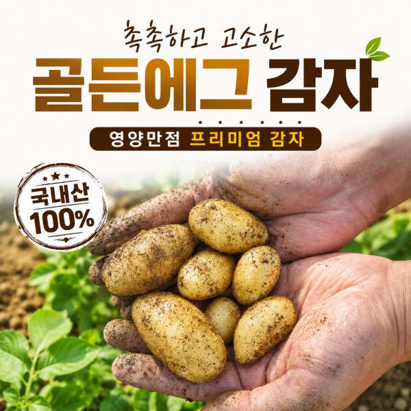 ★신선위크★(농할) [엠마홈] 국내산 100% 영양만점 감자 골든에그