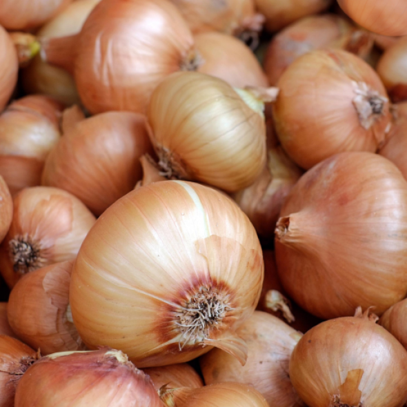 [산지직송]무안 양파/깐양파 1kg/2kg/3kg/5kg/10kg