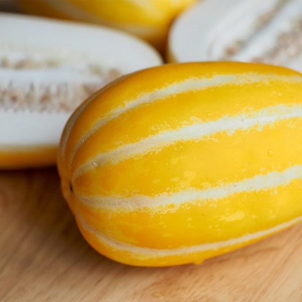 [아달달농산] 당도선별 성주 참외 꿀참외 2kg 5kg 10kg 로얄과 가정용