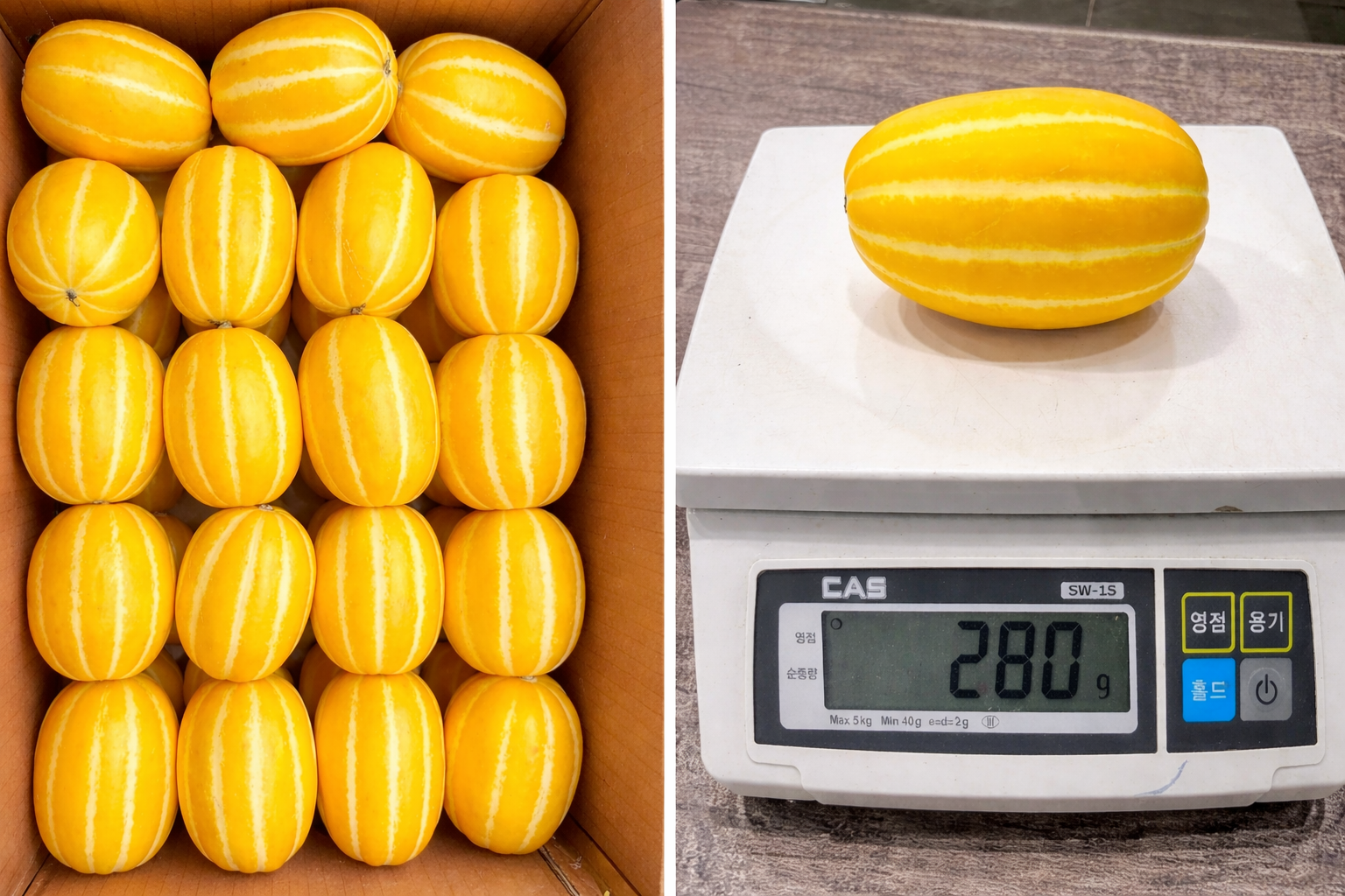 [숙희장터] 고당도 성주참외 [정품]로얄과 2/3/5kg