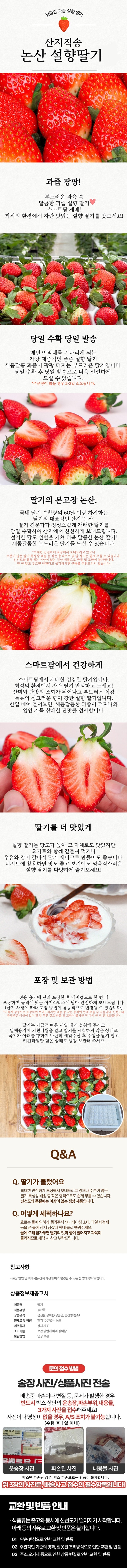 [할인행사][청년농가R]프리미엄 논산 설향딸기 350g/700g