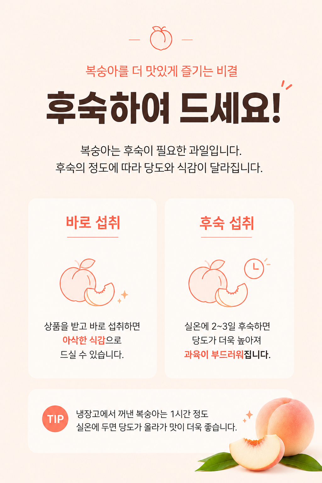 [숙희장터] 맛있는 복숭아의 시작을 알리는 신비/신선 복숭아