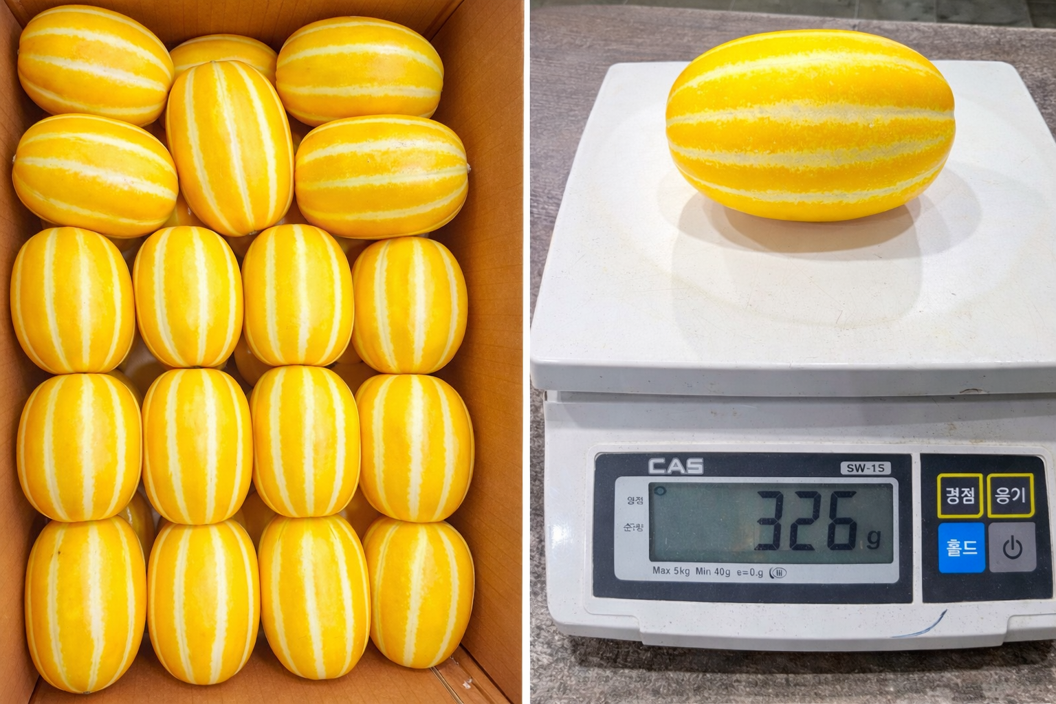 [숙희장터] 고당도 성주참외 [정품]로얄과 2/3/5kg