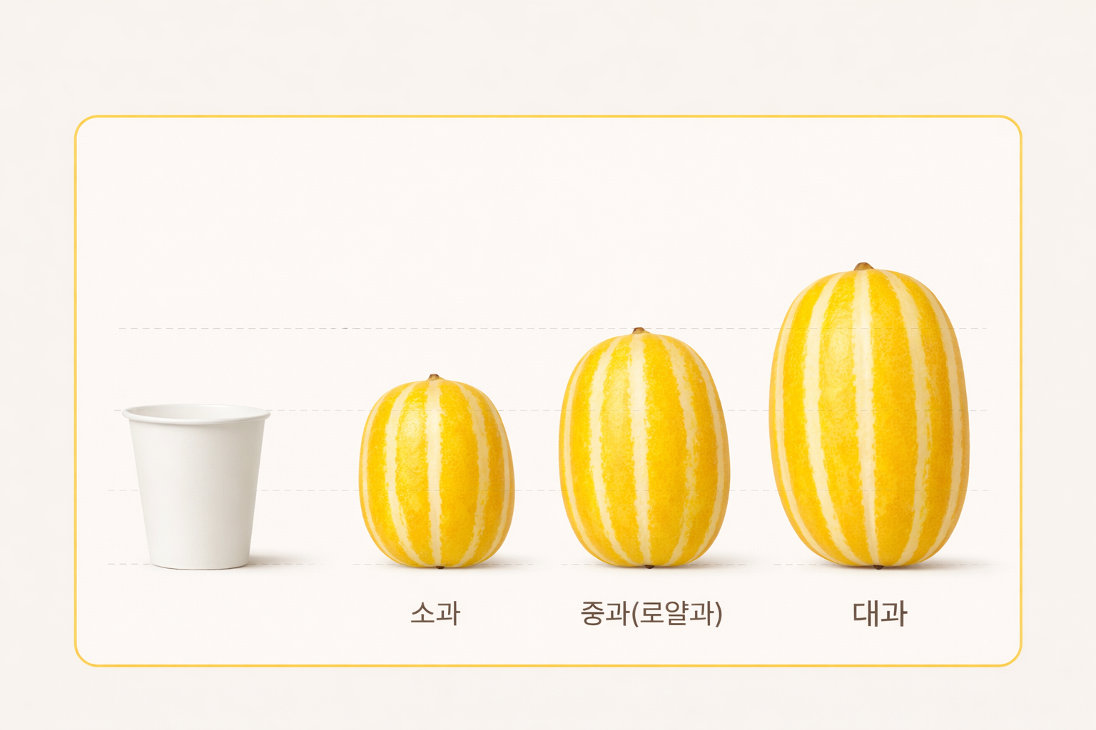 [숙희장터] 고당도 성주참외 [정품]로얄과 2/3/5kg