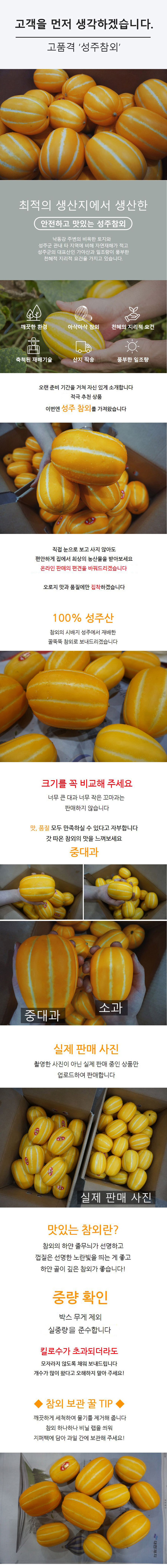 [성주참외/당도선별] 성주_꿀뚝뚝 참외 [2kg/4kg]